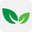 Cape Hedge & Shrub logo
